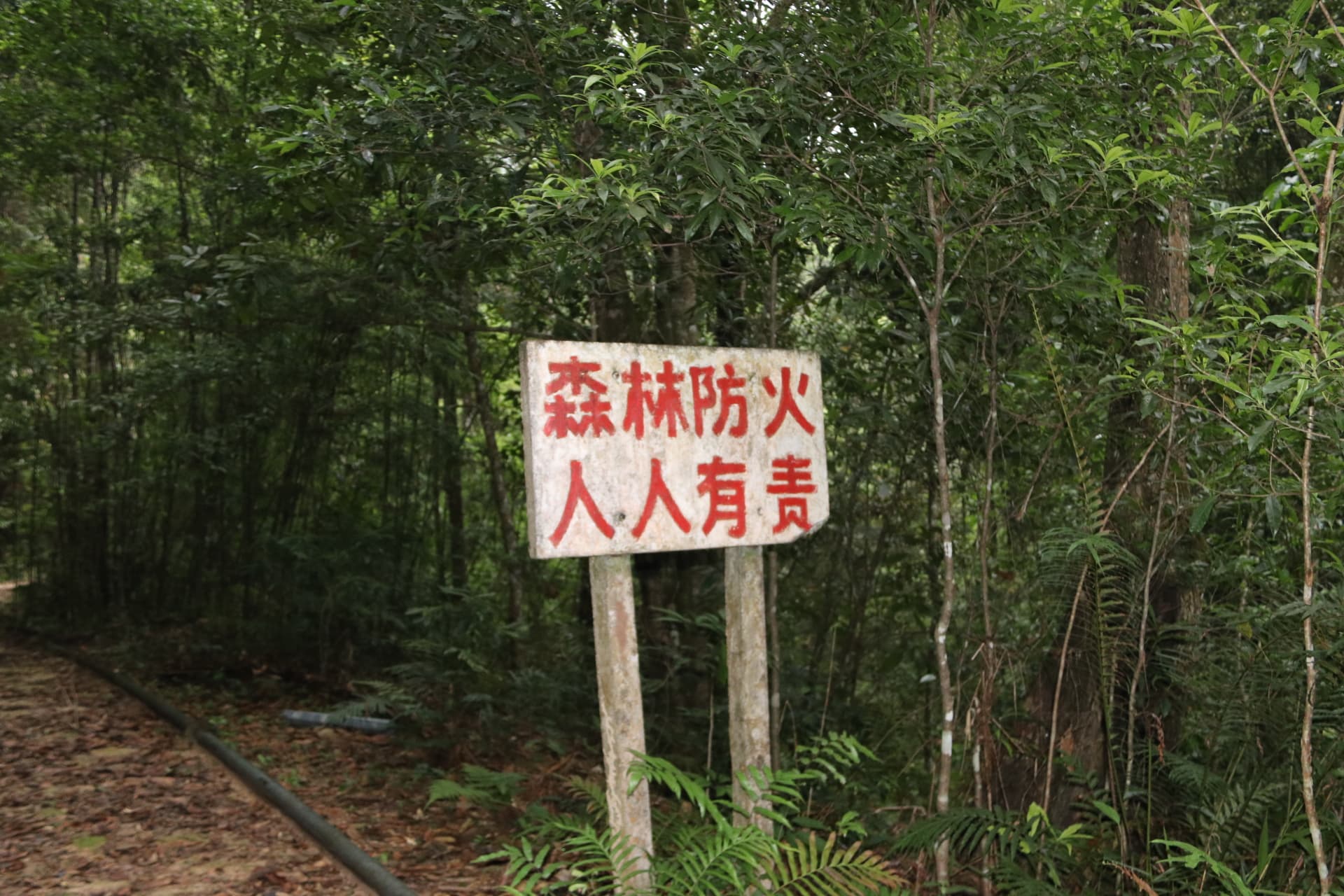 Fengkai County — 黑石顶