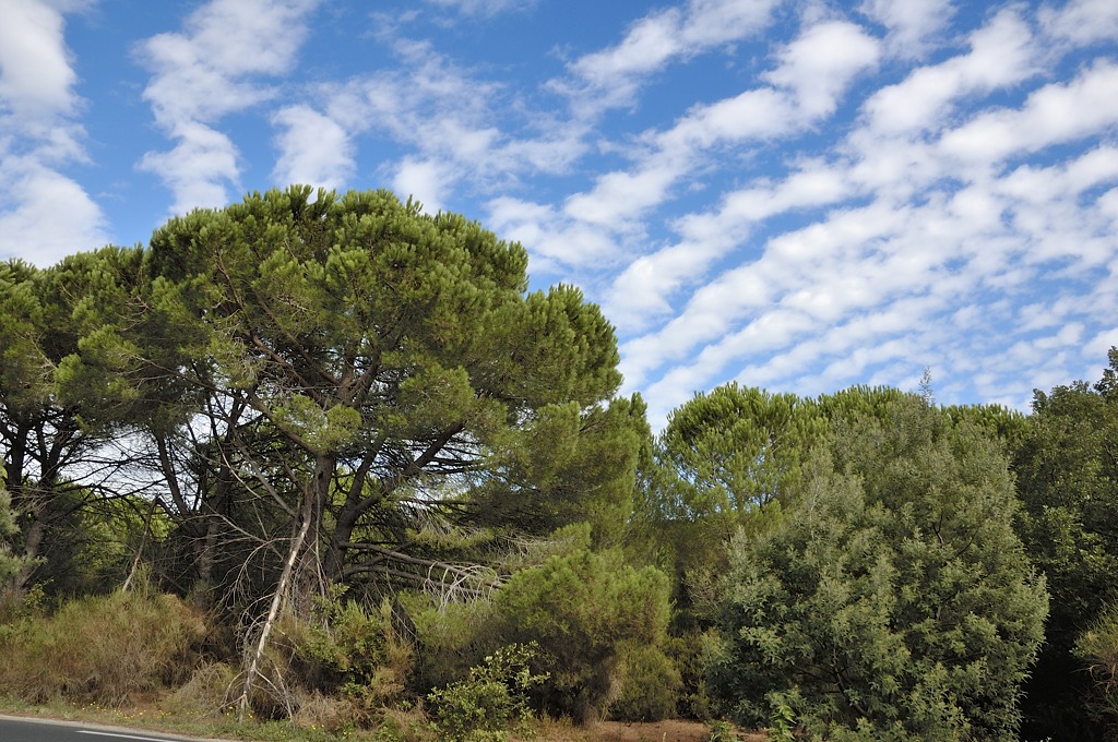 Argeles-sur-Mer — Argelès-sur-Mer 03