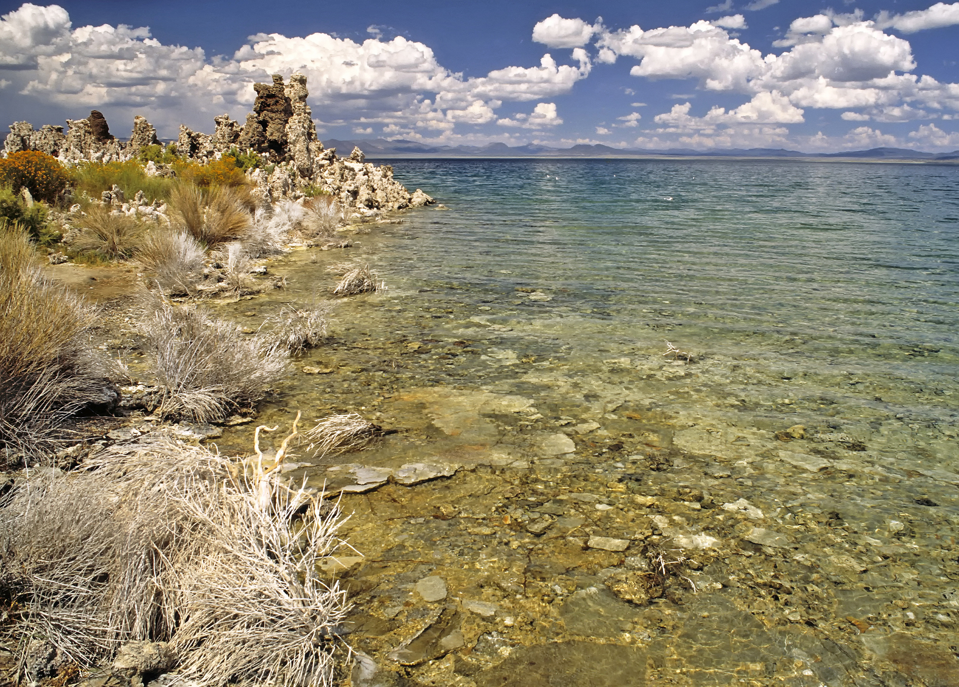 Lakeside — Lakeside of Mono Lake