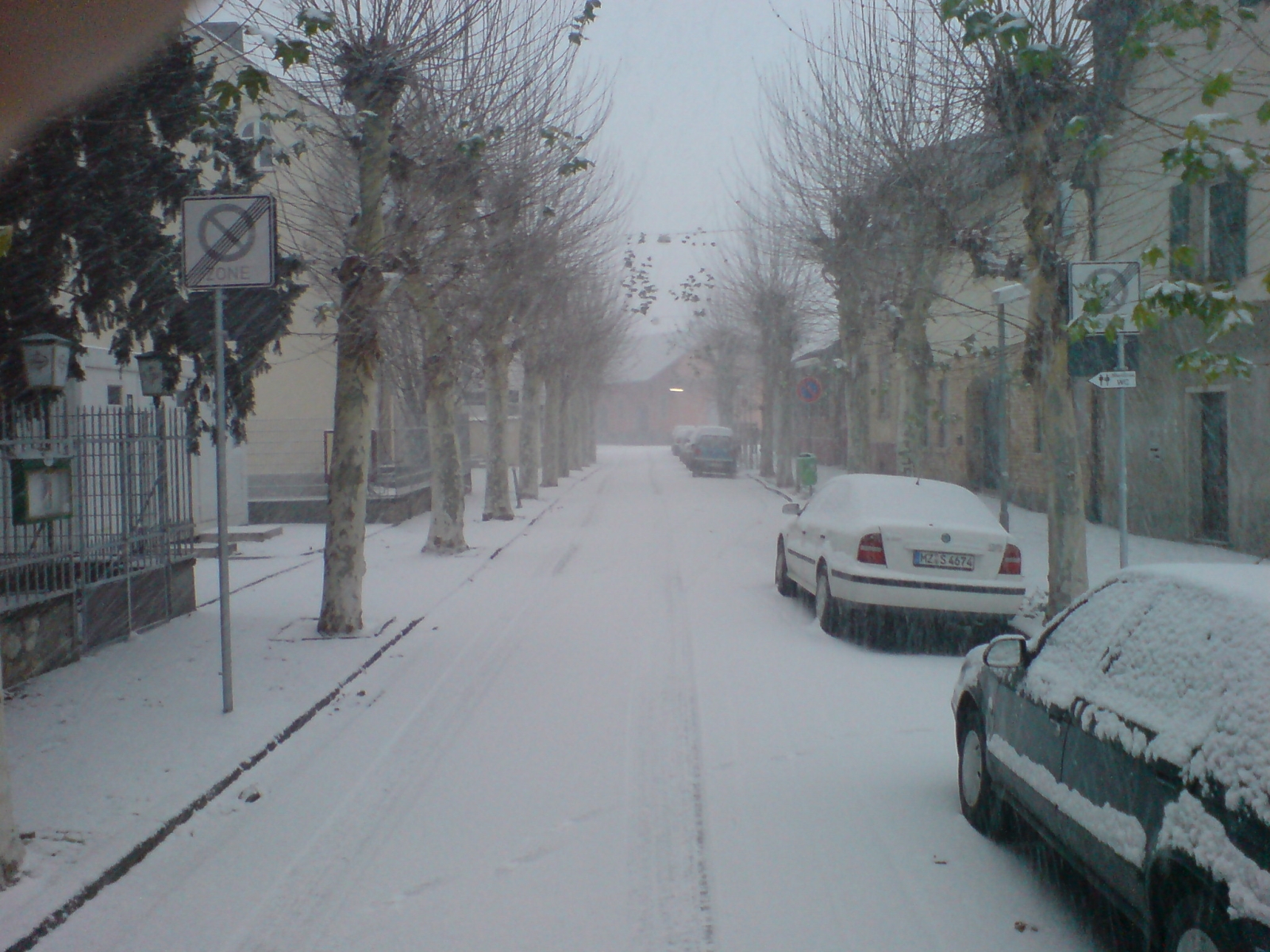 Oppenheim — Snowy Street, Trees In Oppenheim