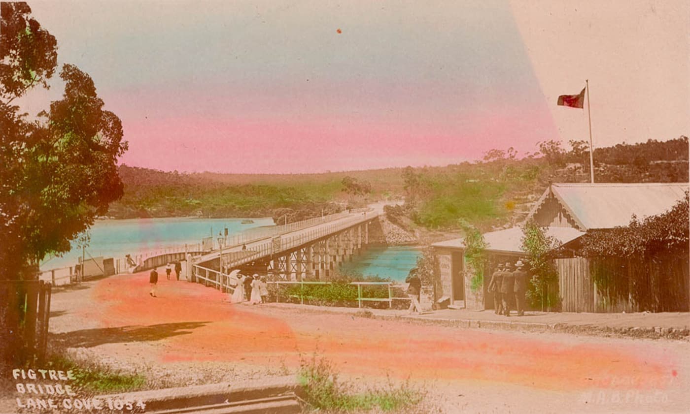 Figtree — SLNSW 796522 Figtree Bridge Lane Cove