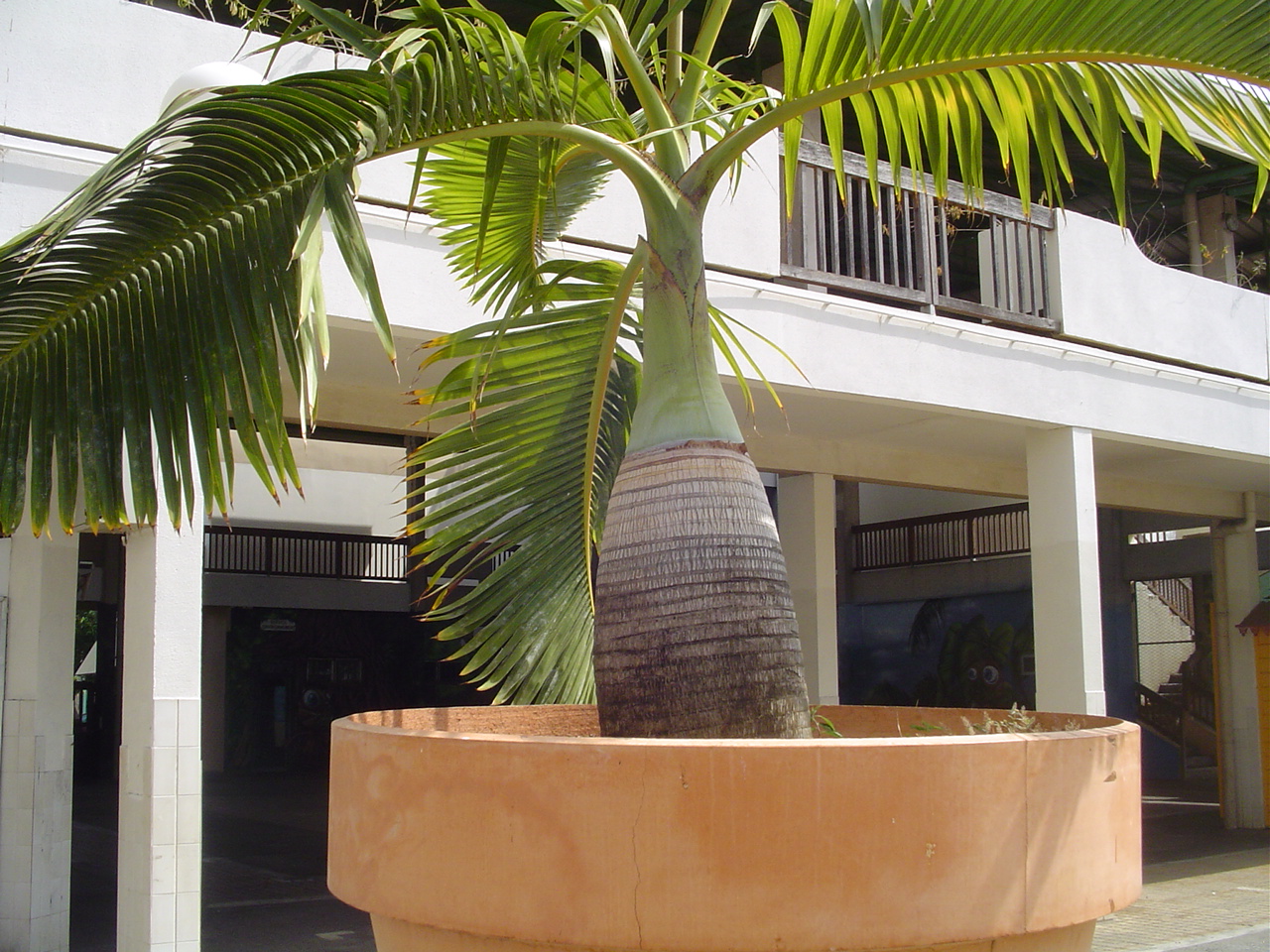 Saint-Gilles-Les-Bains — Saint-Gilles-les-Bains (2854890315)