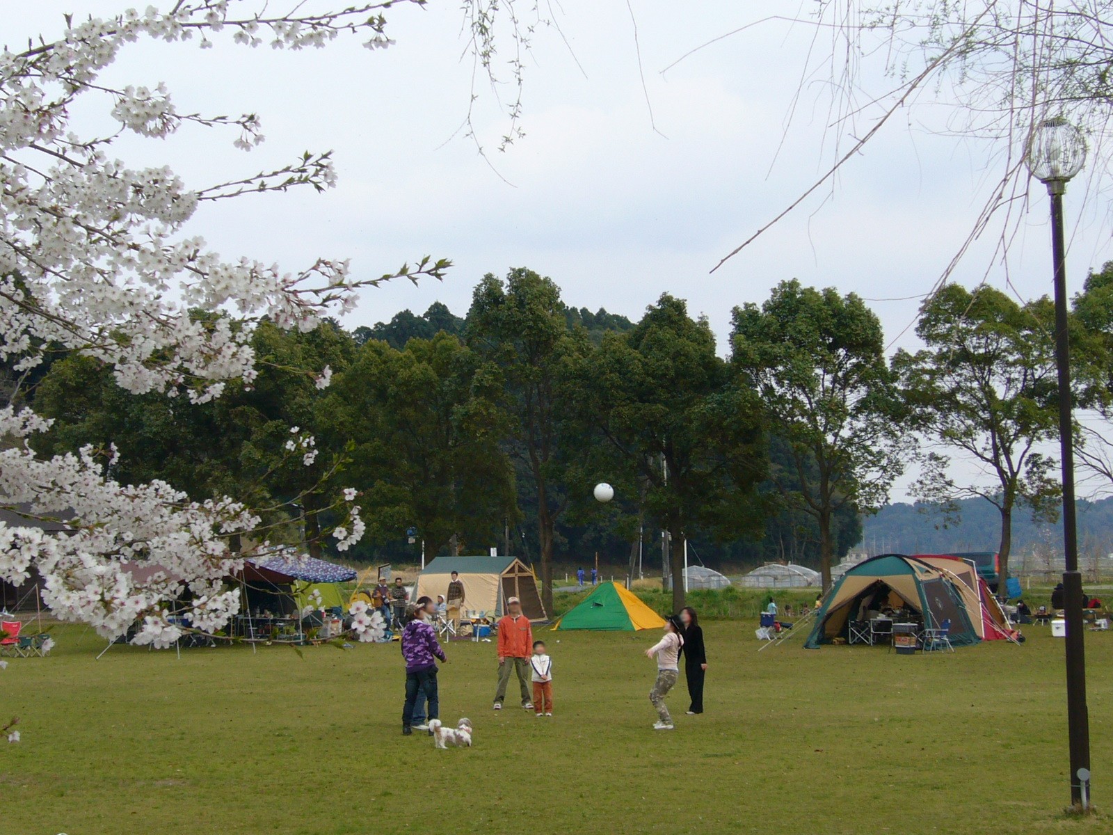 Katori — Tatibana-park1,katori-city,japan