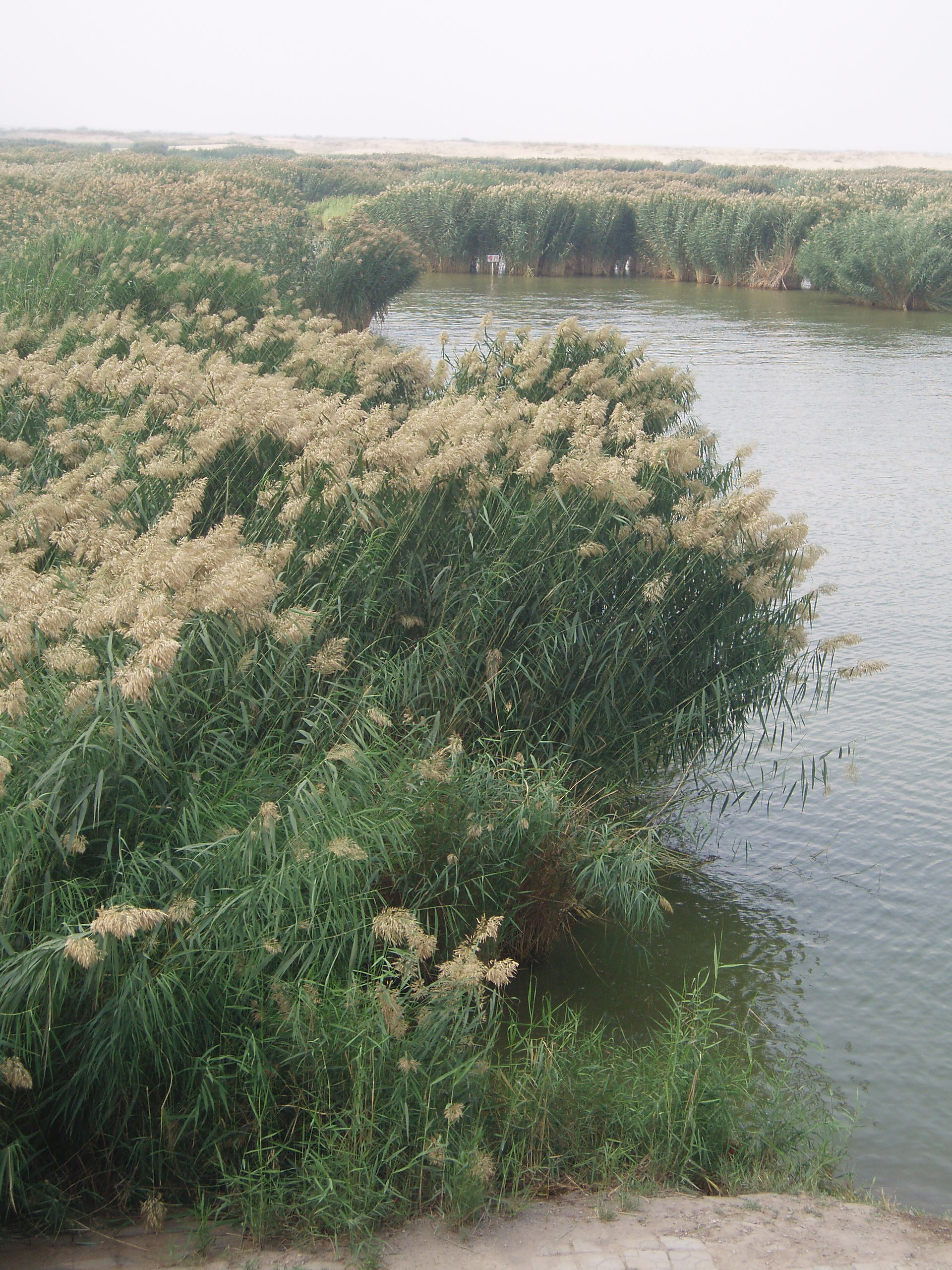 Shizuishan — DesertLake2