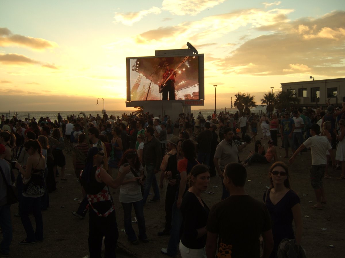 Dallas — St Kilda Festival Dallas Crane Stevage