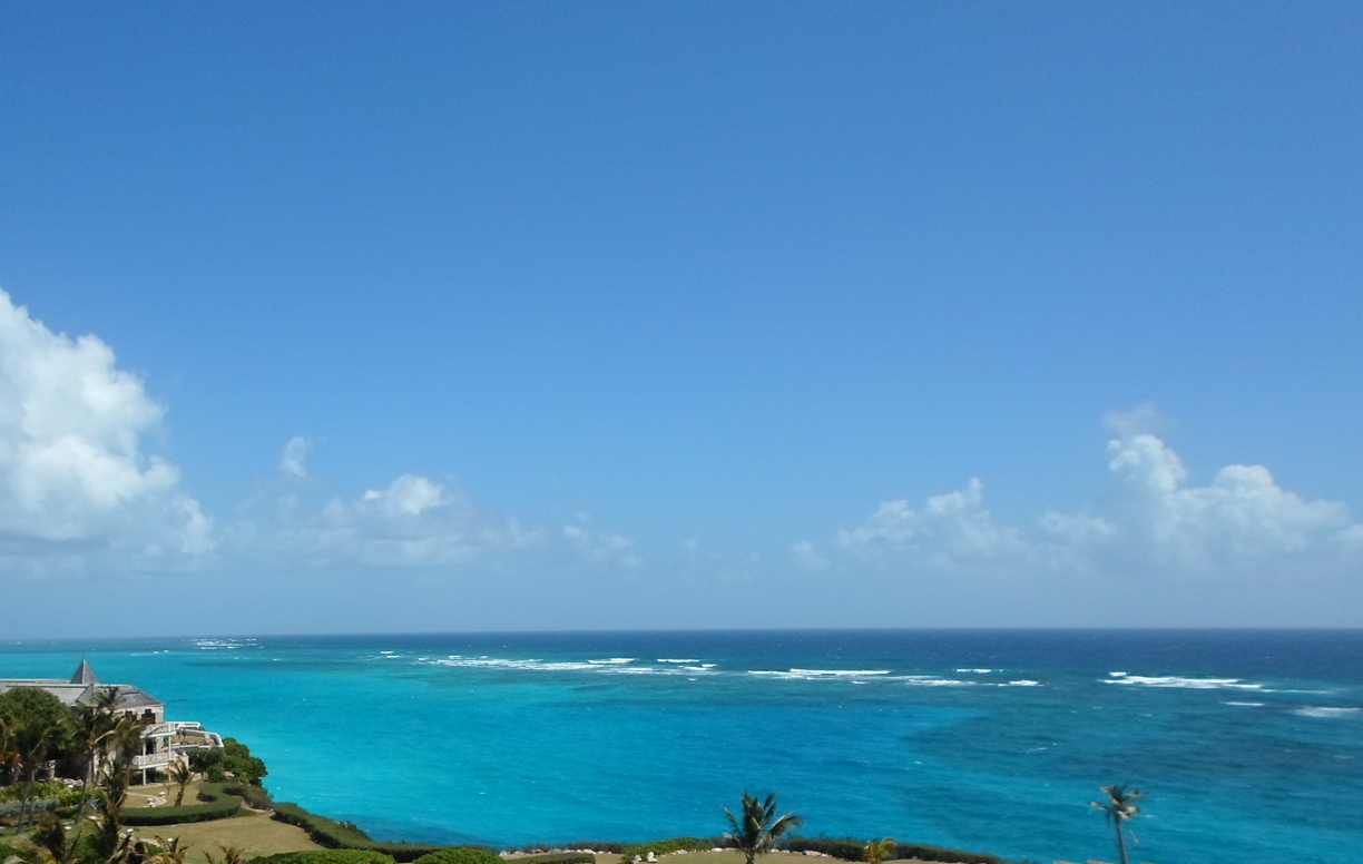 Crane — Cobblers Reef from old Crane