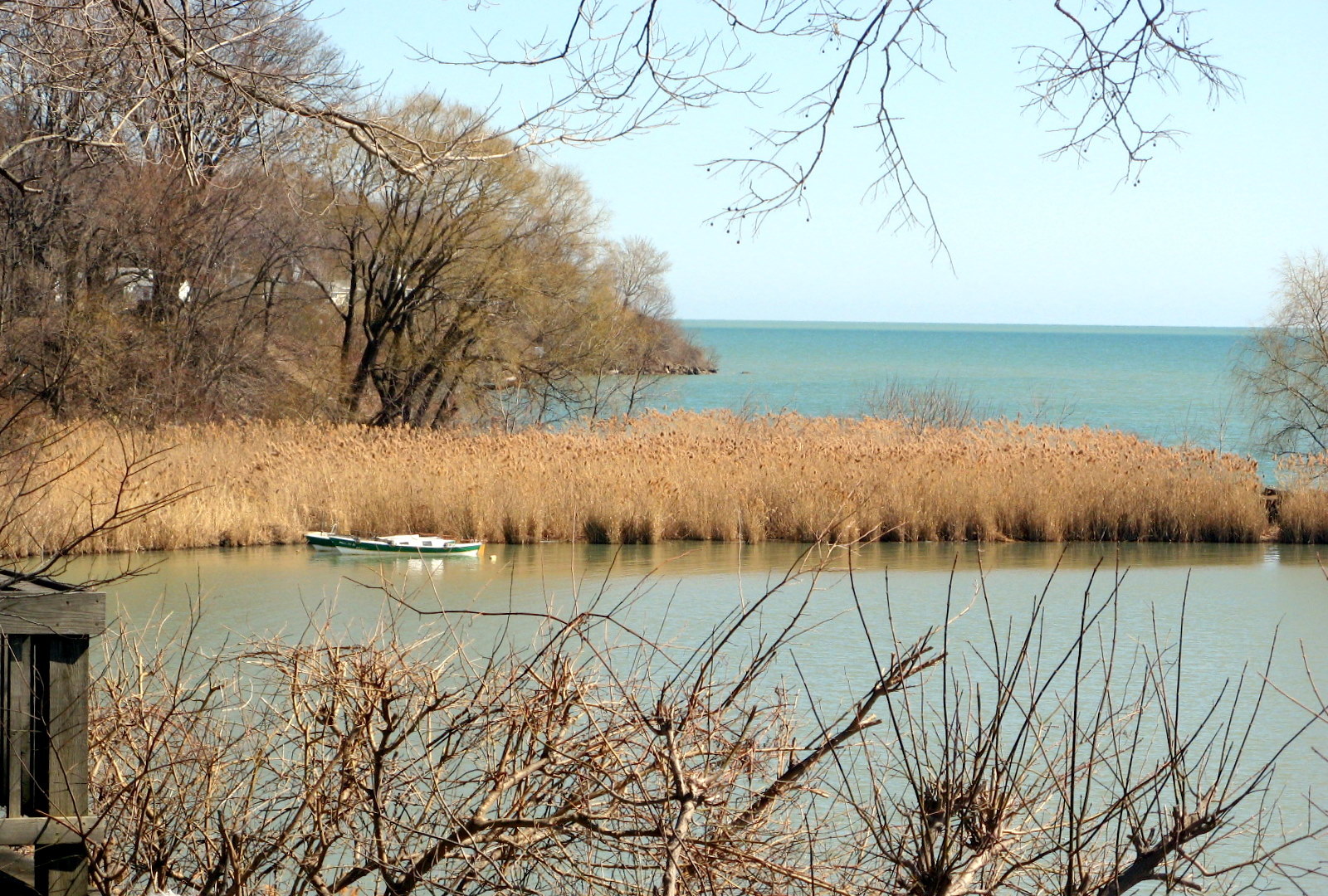 Colchester — Colchester (3371464078)