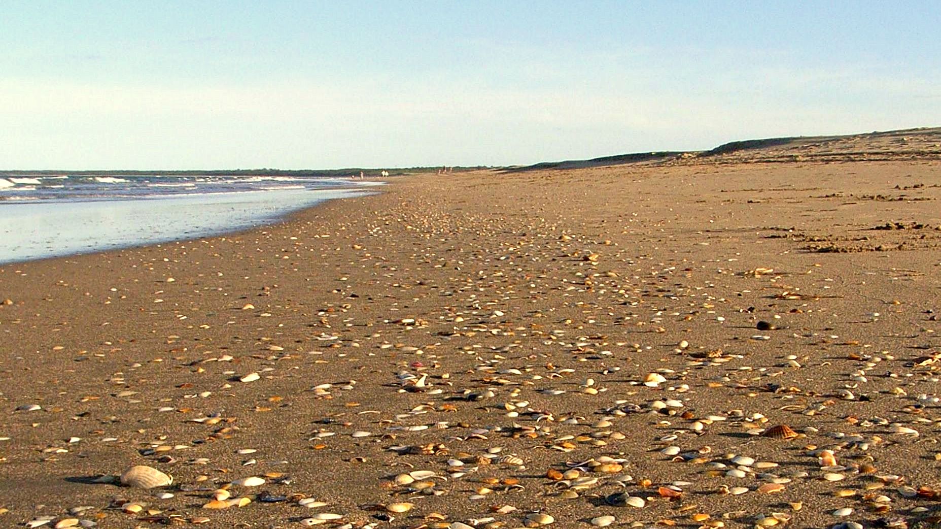 Seven Mile Beach — Sand on Seven Mile Beach NSW Australia
