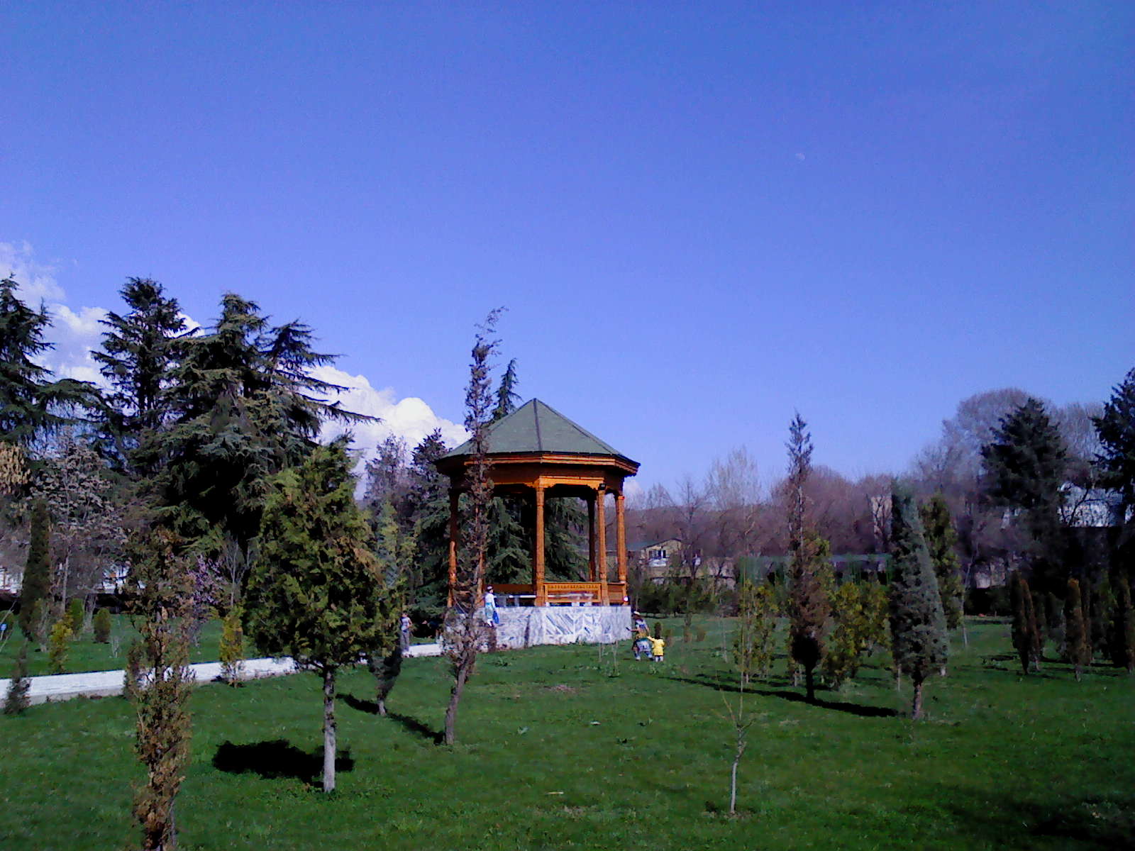 Dushanbe — TJ-Botanical Garden, Dushanbe (4)