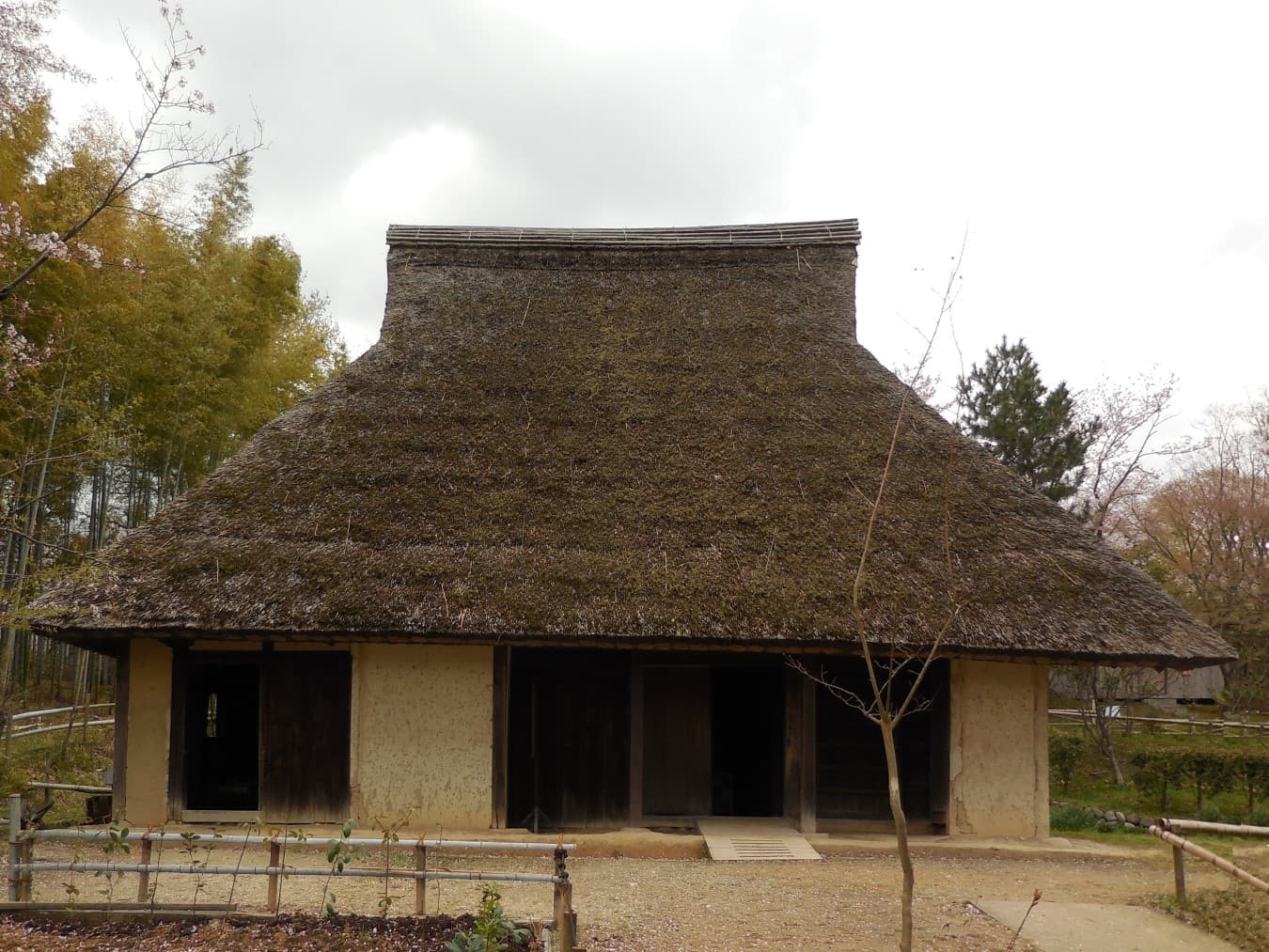 Echizen — H Echizen Tsuruga