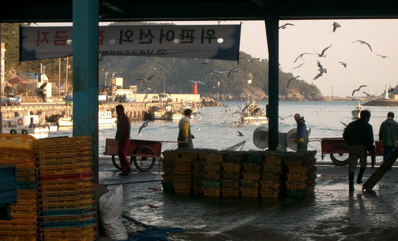 Haenam-gun — Korea-Haenam-02