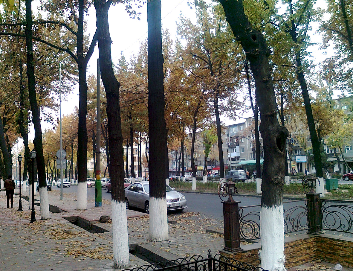 Shymkent — Turkistanskaya-street (Shymkent-city)