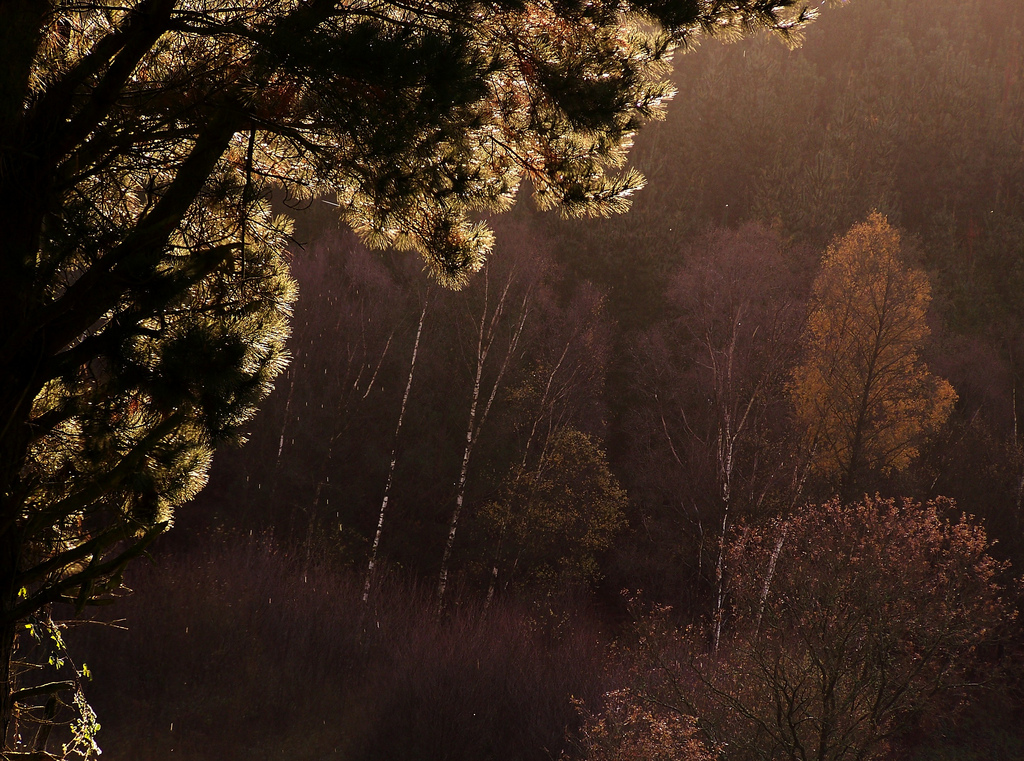 Lugo — Orbazai, Lugo, Galicia (Spain)