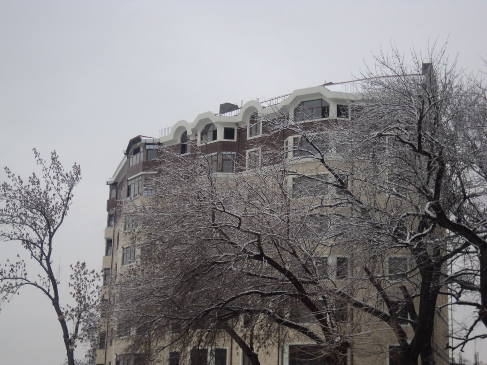 Tashkent — Winter in Tashkent 7