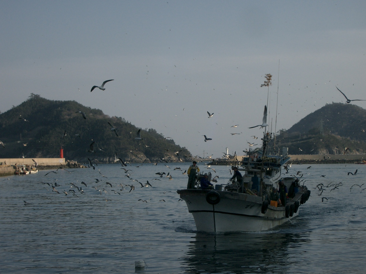 Haenam-gun — Korea-Haenam-01