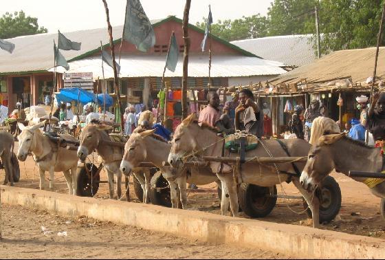 Soma — Soma-The Gambia