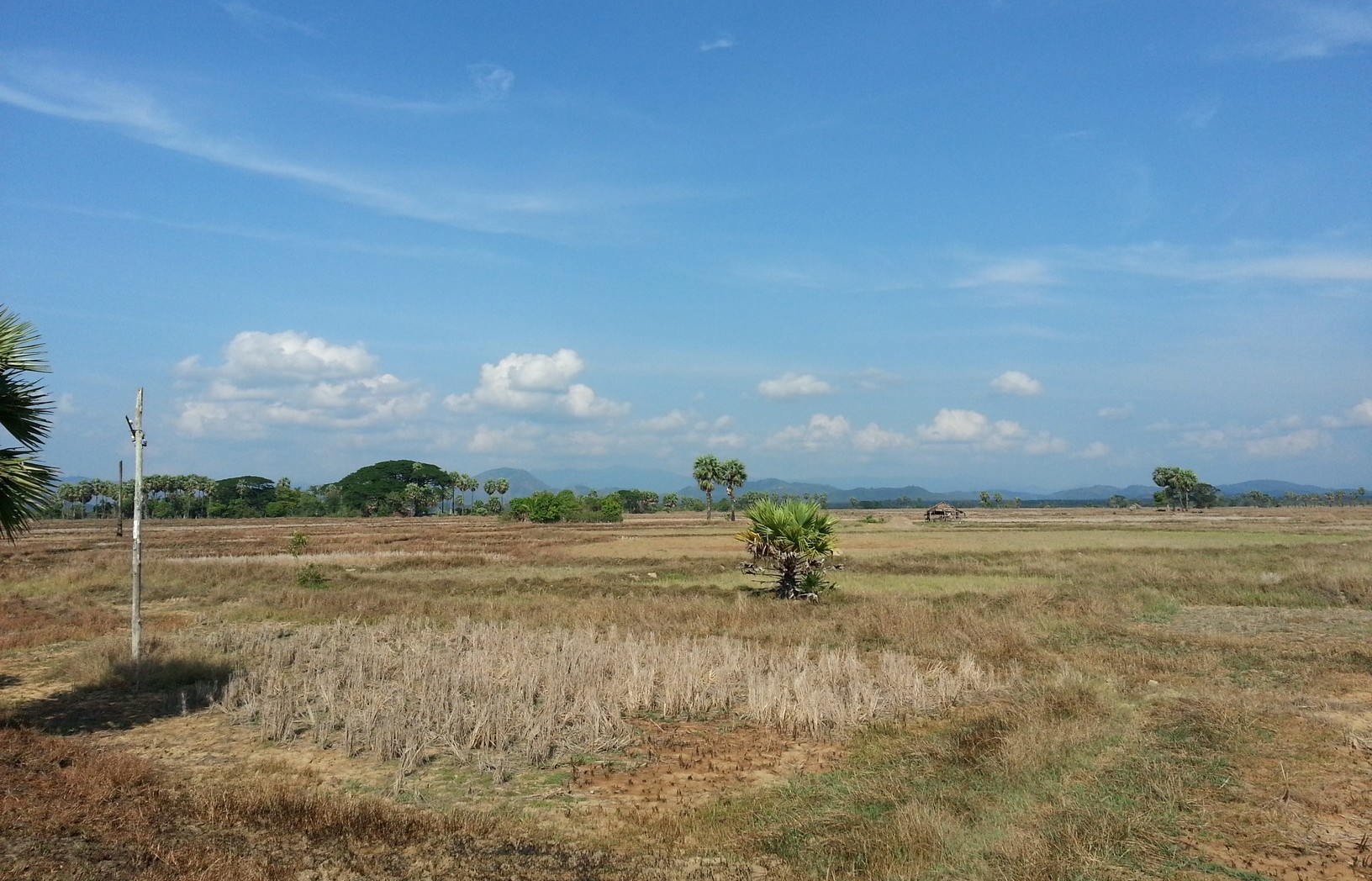 Dawei — Train from Dawei to Mawlamyine 10