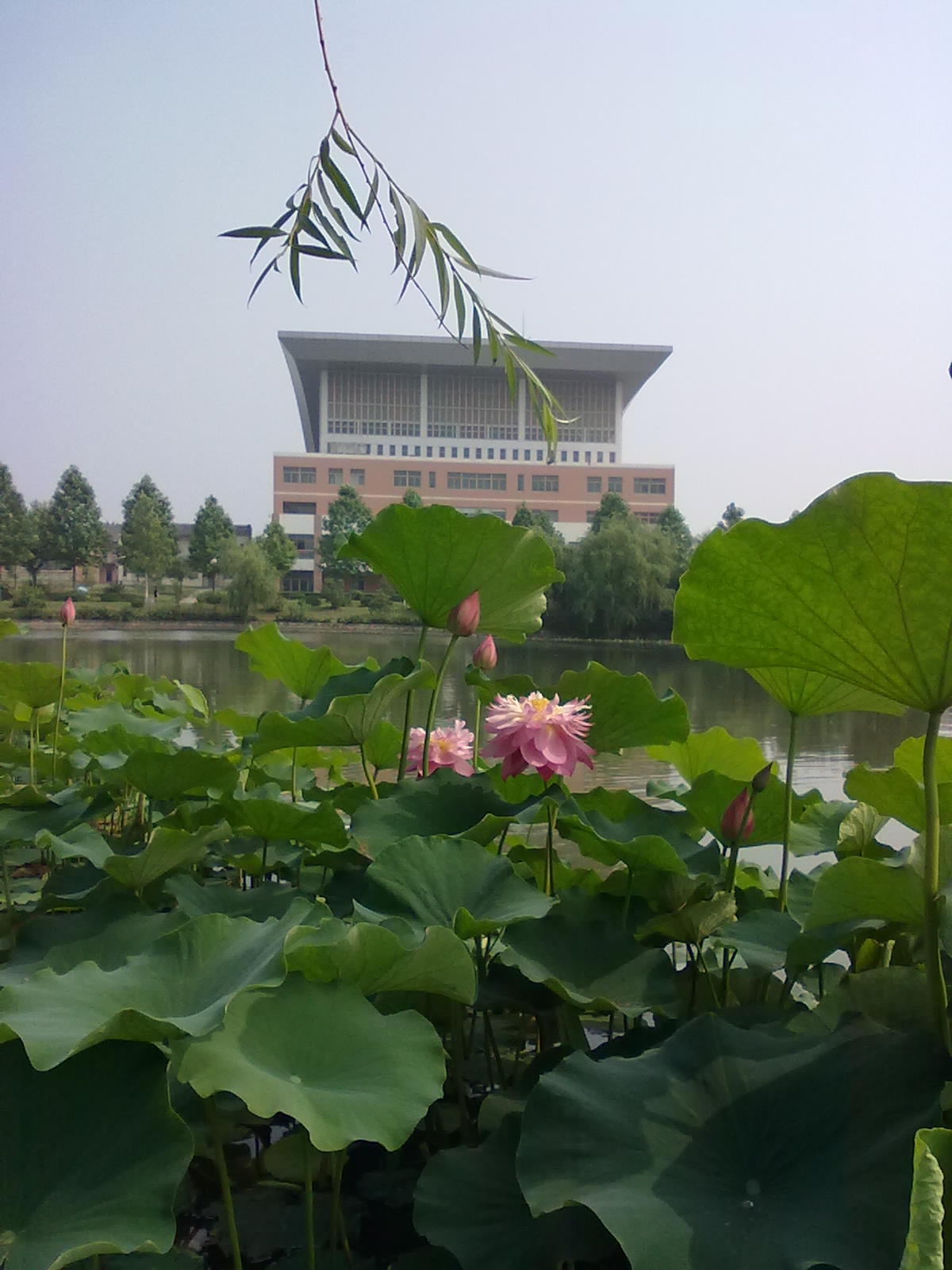 Chuzhou — Chuzhou university