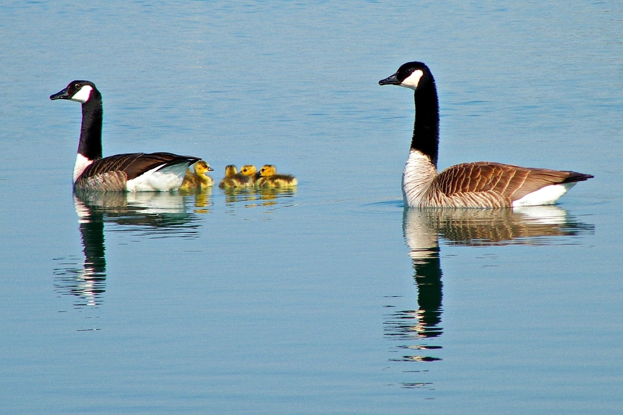 Ludwigsburg — Ludwigsburg, Germany - panoramio