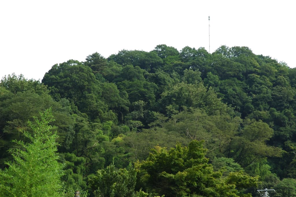 Mimasaka — Mimasaka Katsuyama Castle 03