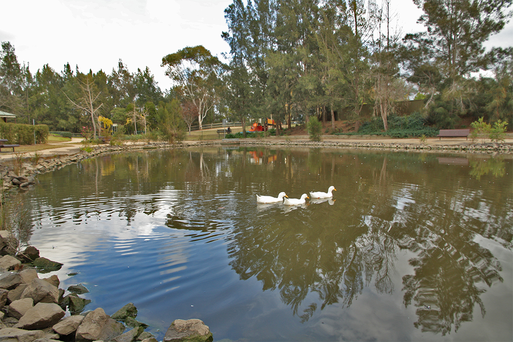 Picton — Picton Botanic Gardens