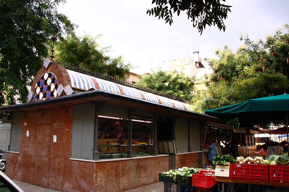 Mataro — Mataro-PiC-Rengle-6708