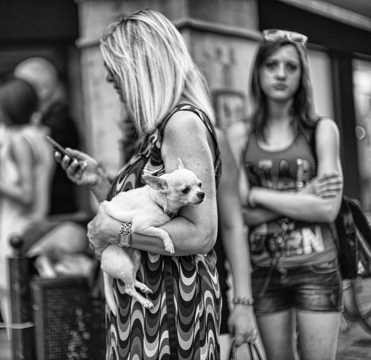 Udine — Udine, Italy (7427912844)