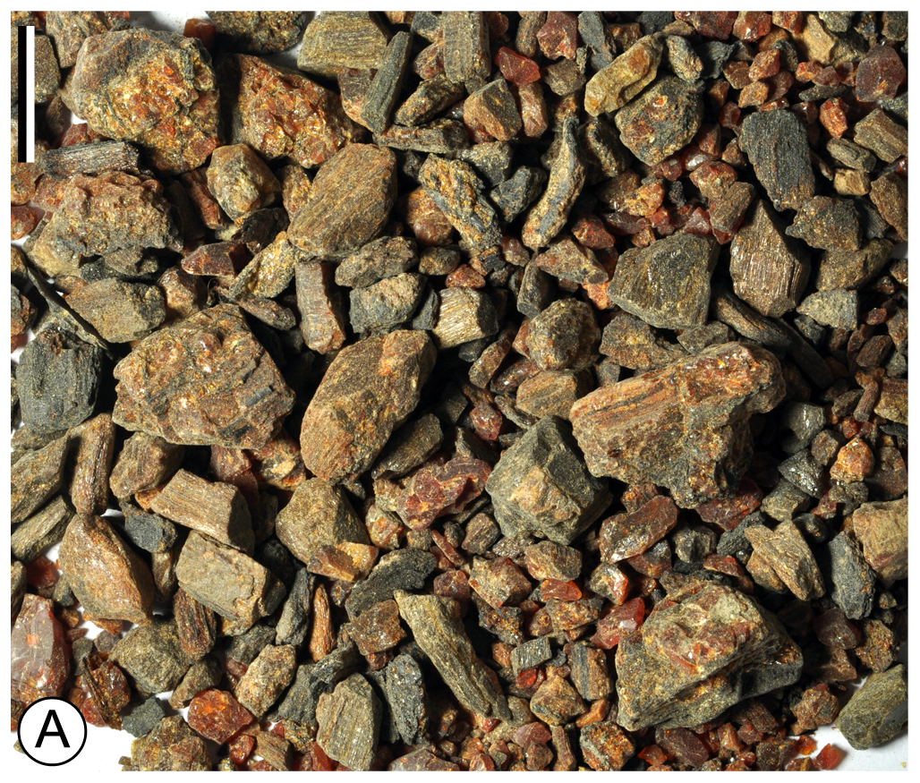 Xixia County — Gaogou Formation amber (Xixia County)