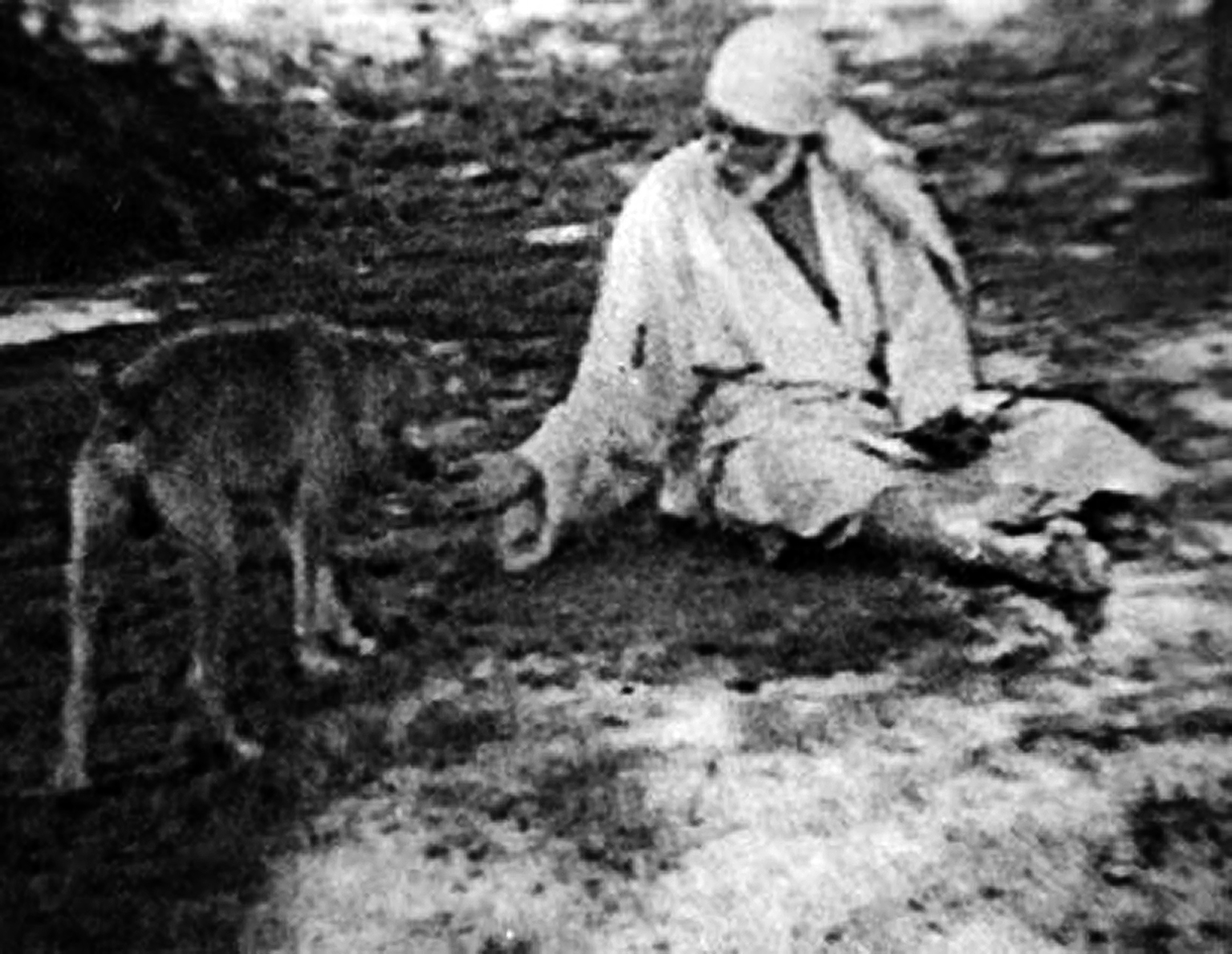 Shirdi — Shirdi Sai Baba with dog