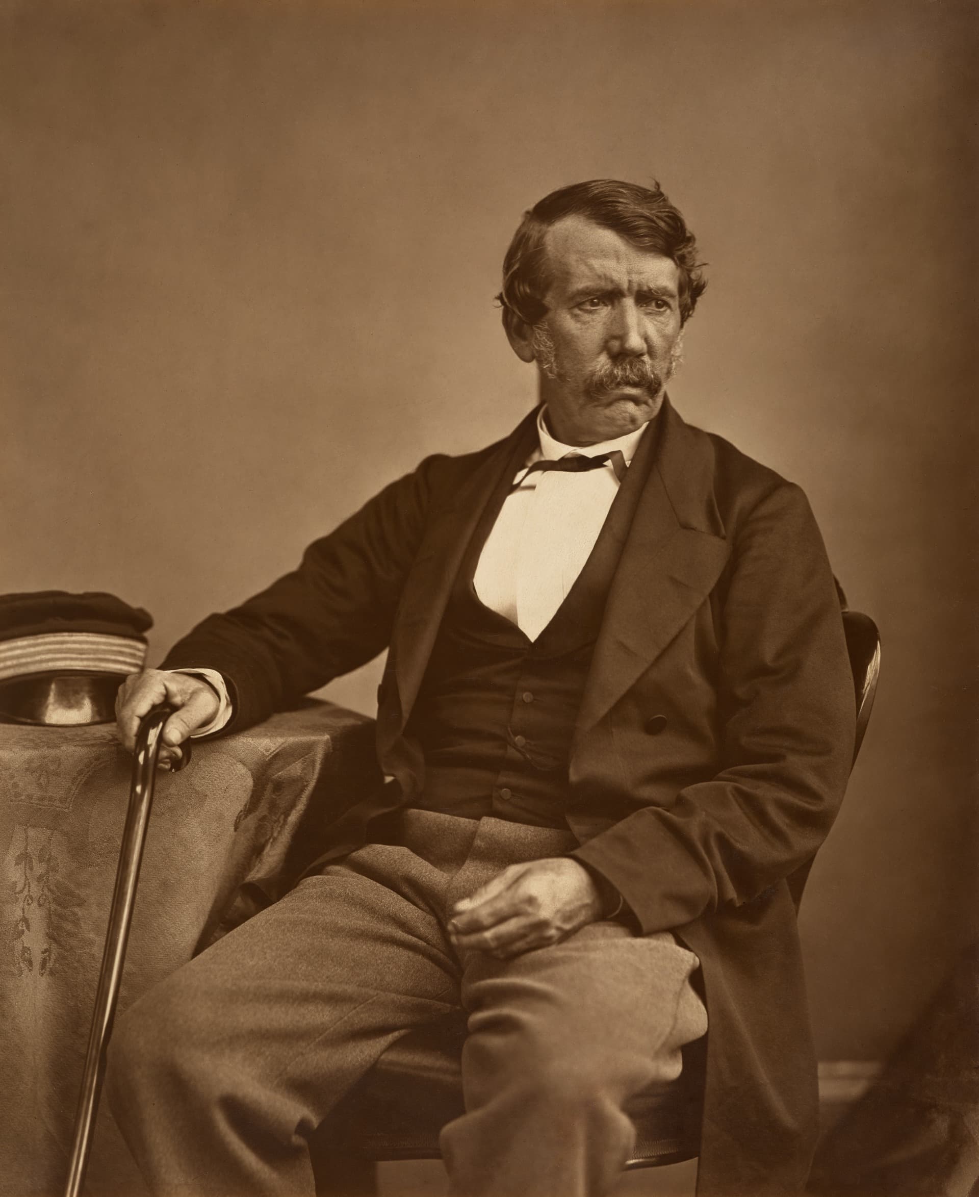 Annan — David Livingstone by Thomas Annan