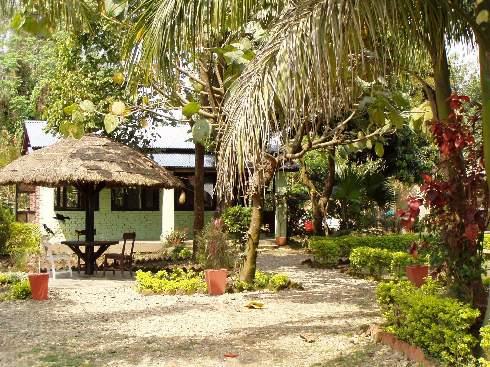 Sauraha — Sauraha-018