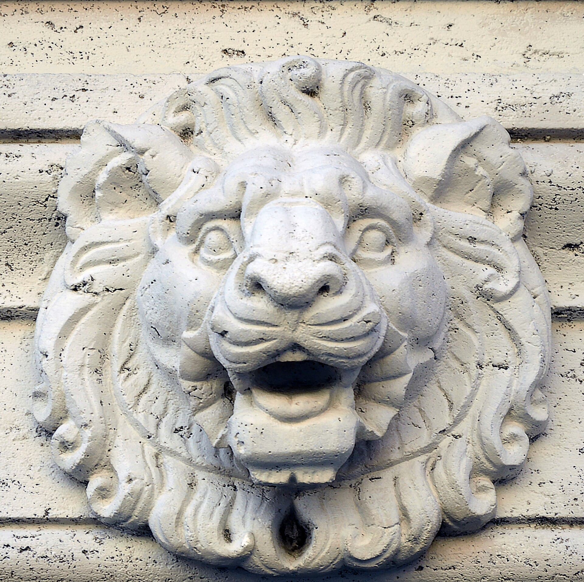 Todi — Lion in Todi