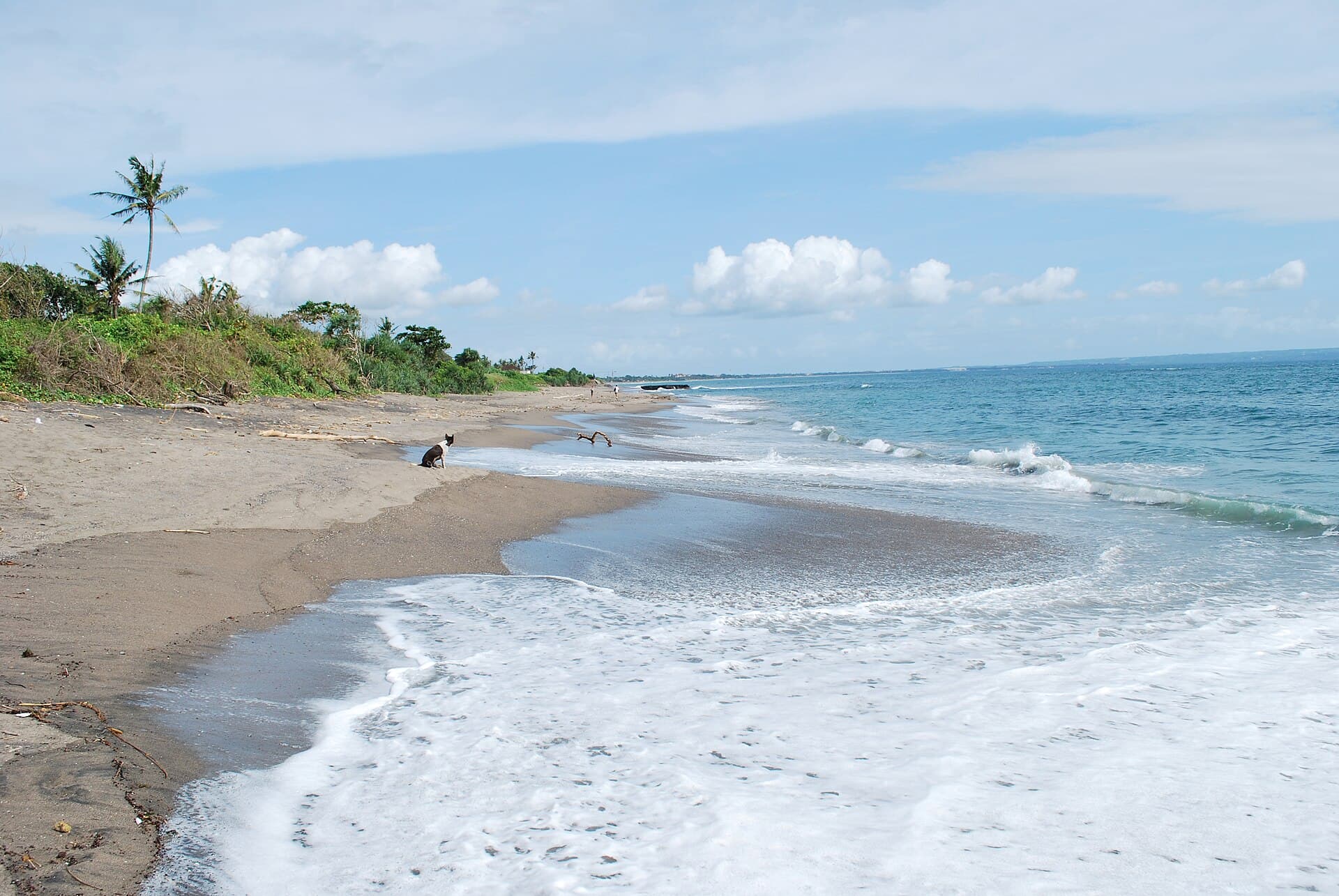 Canggu — Canggu Beach