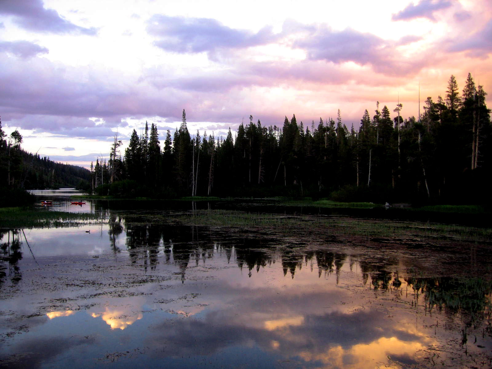 Mammoth Lakes — Tree relection Twin Lakes Sunset, Mammoth Lakes, California