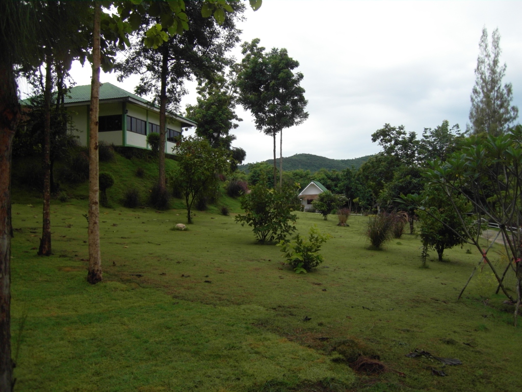 Suan Phueng — Suan Phueng, Suan Phueng District, Ratchaburi 70180, Thailand - panoramio - Mozhar