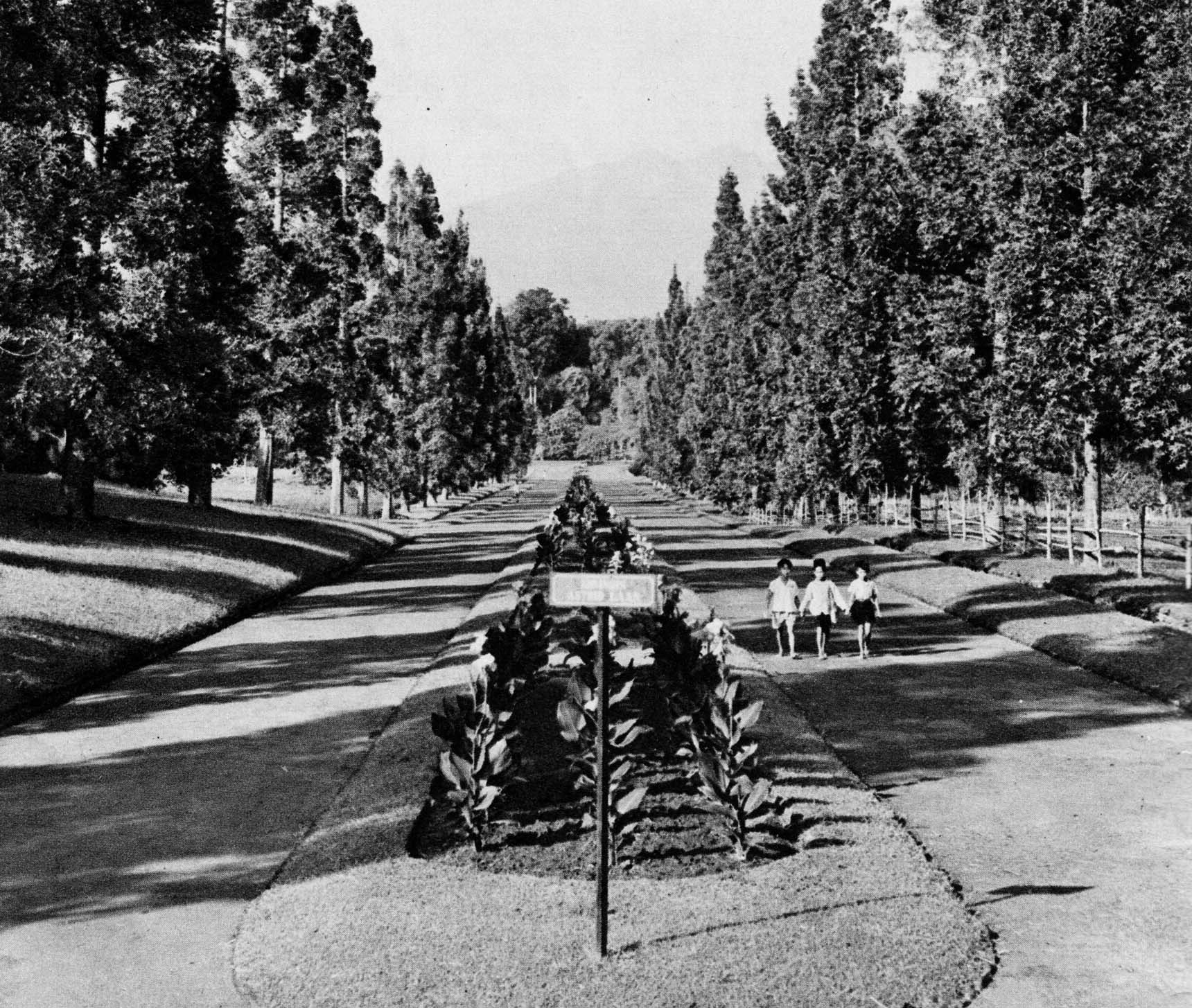 Bogor — Bogor Botanical Gardens, Know Indonesia... Know Your Friend, p4