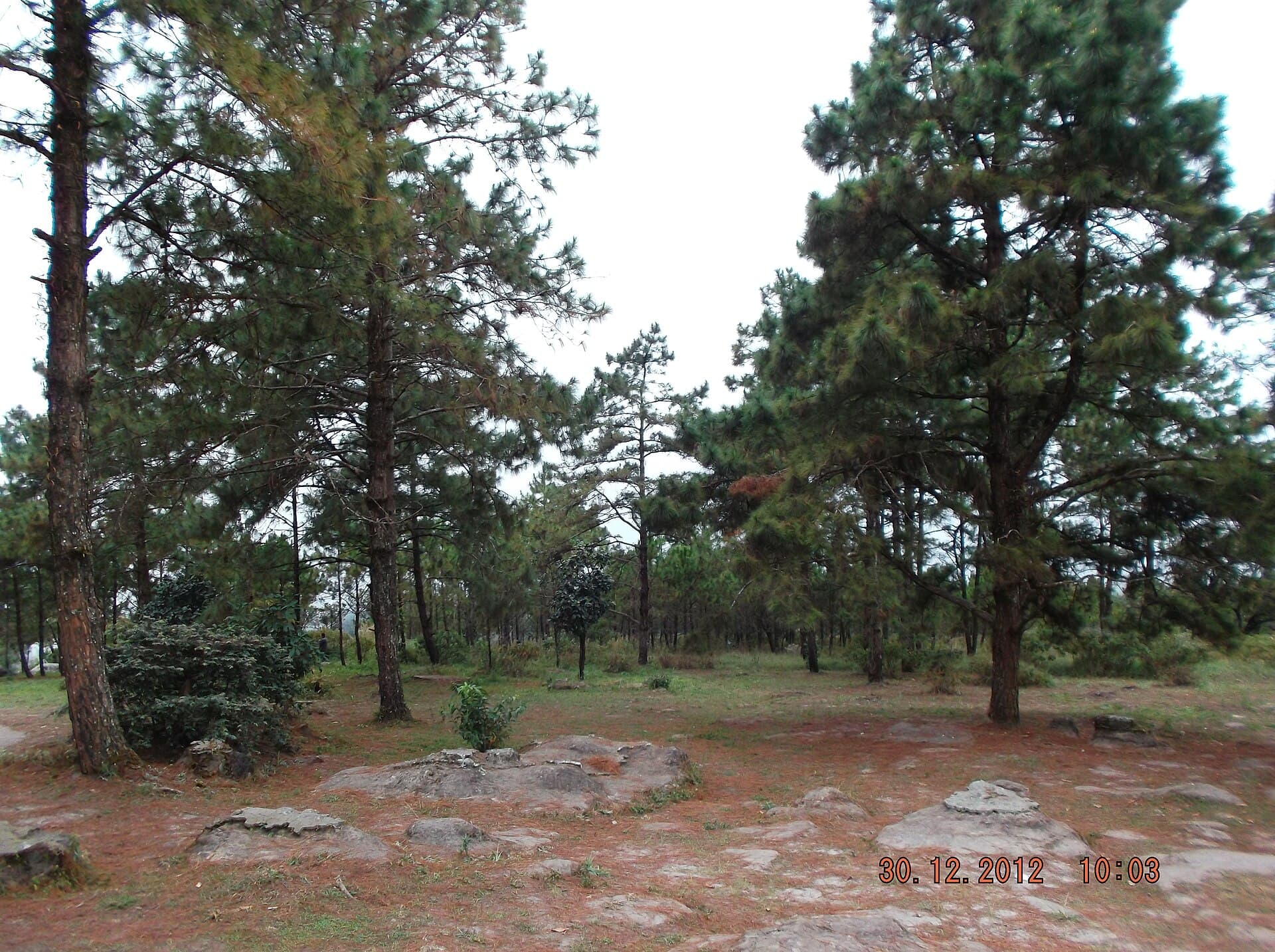 Phu Ruea — อุทยานแห่งชาติภูเรือ Phu Ruea National Park - panoramio