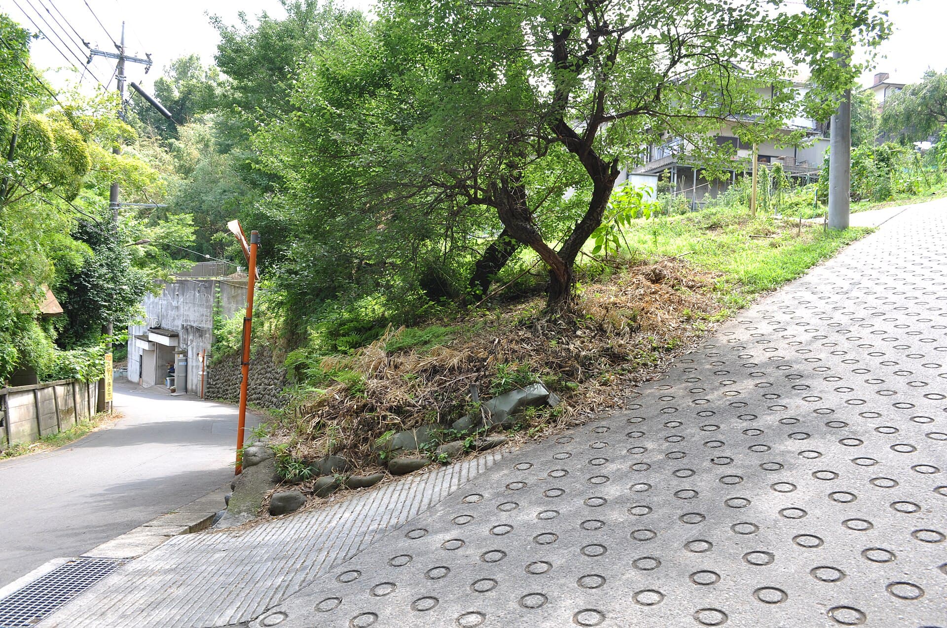 Machida — Onojimachi, Machida, Tokyo 195-0064, Japan - panoramio (31)