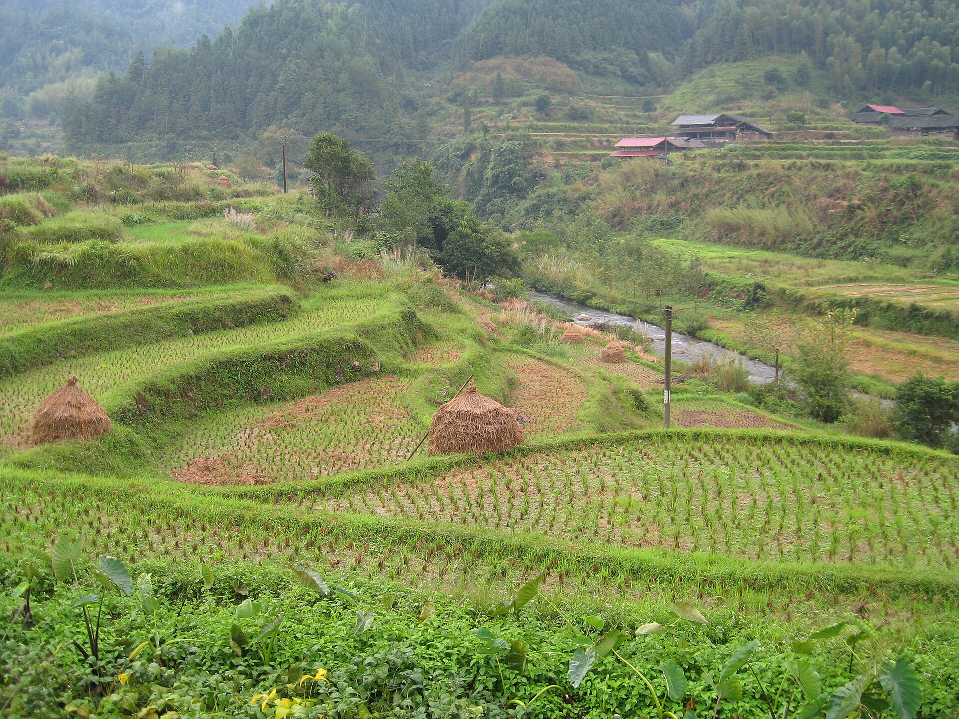 Suining County — 梯田