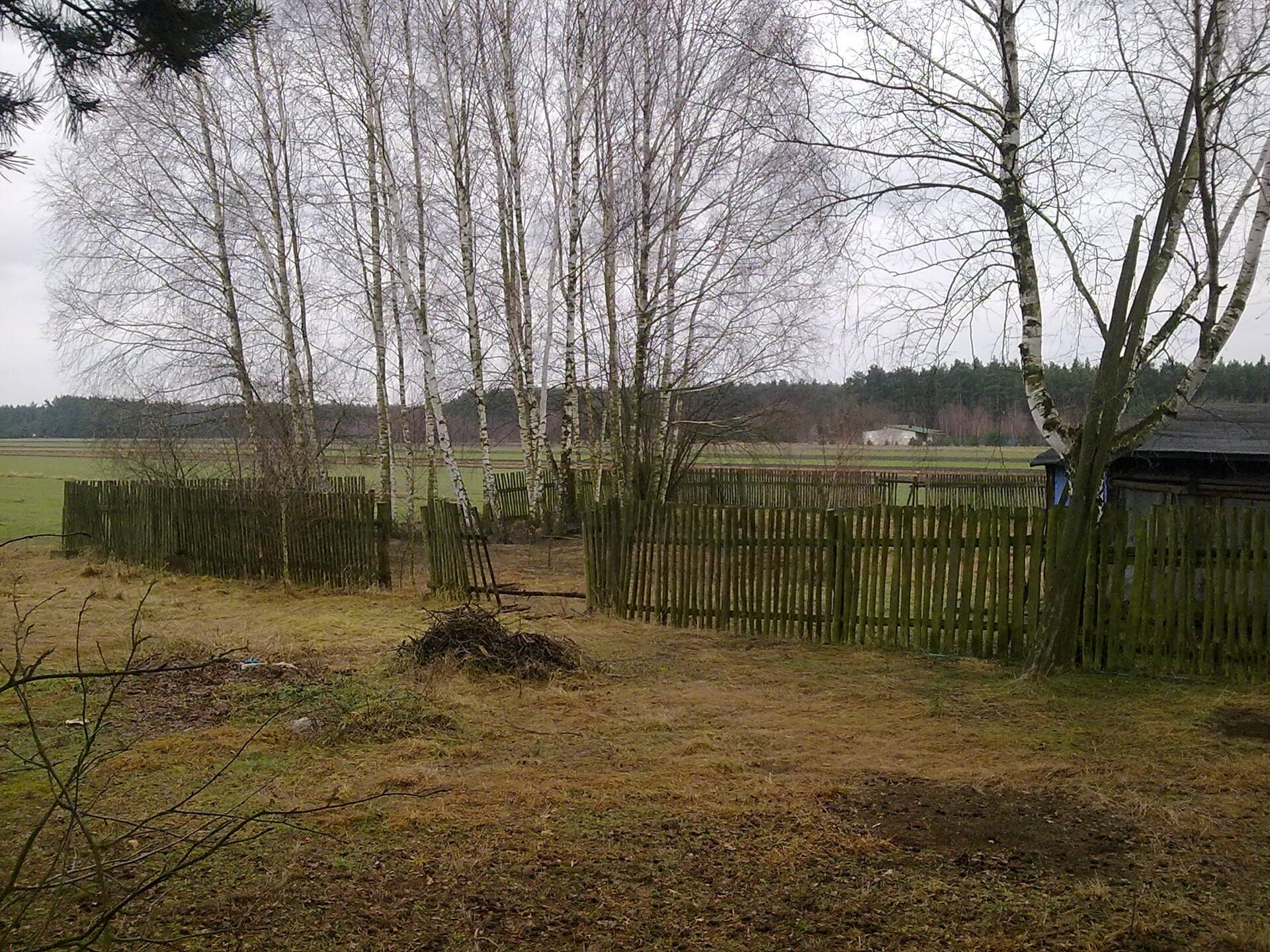 Warta — Gmina Warta, Poland - panoramio (1)