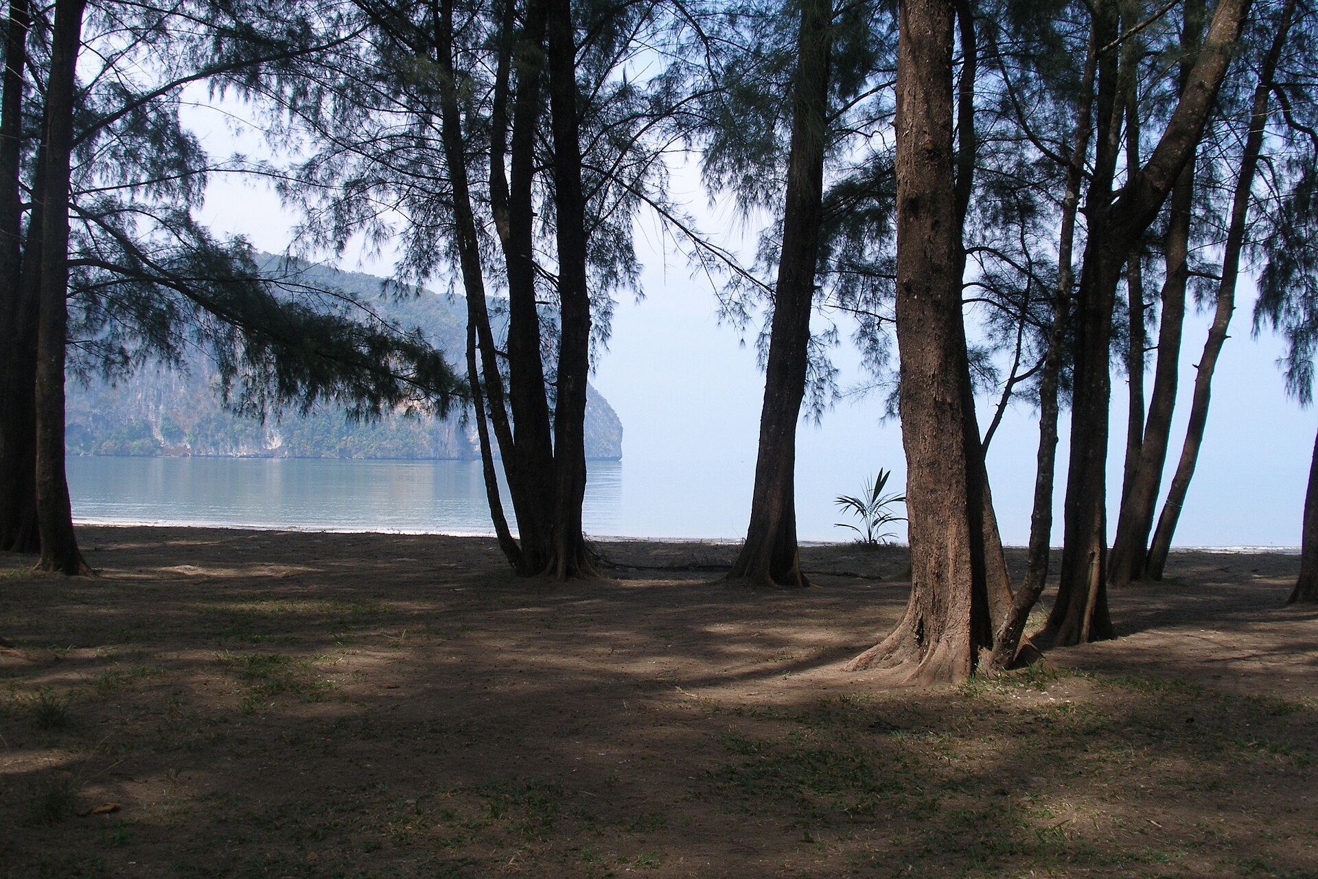 Trang — Rajamangala Beach, Trees, Trang, Thailand